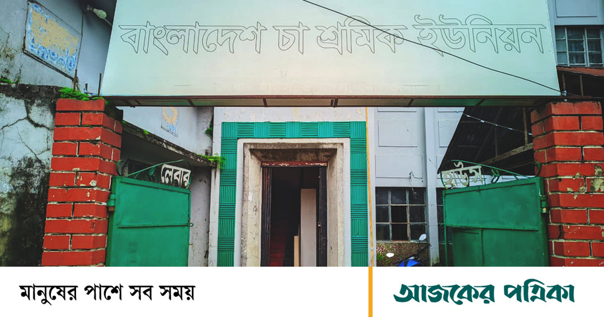 ৮ বছর ধরে চা শ্রমিক ইউনিয়নের নির্বাচন নেই, শ্রমিকদের স্বার্থ রক্ষায় বাধা