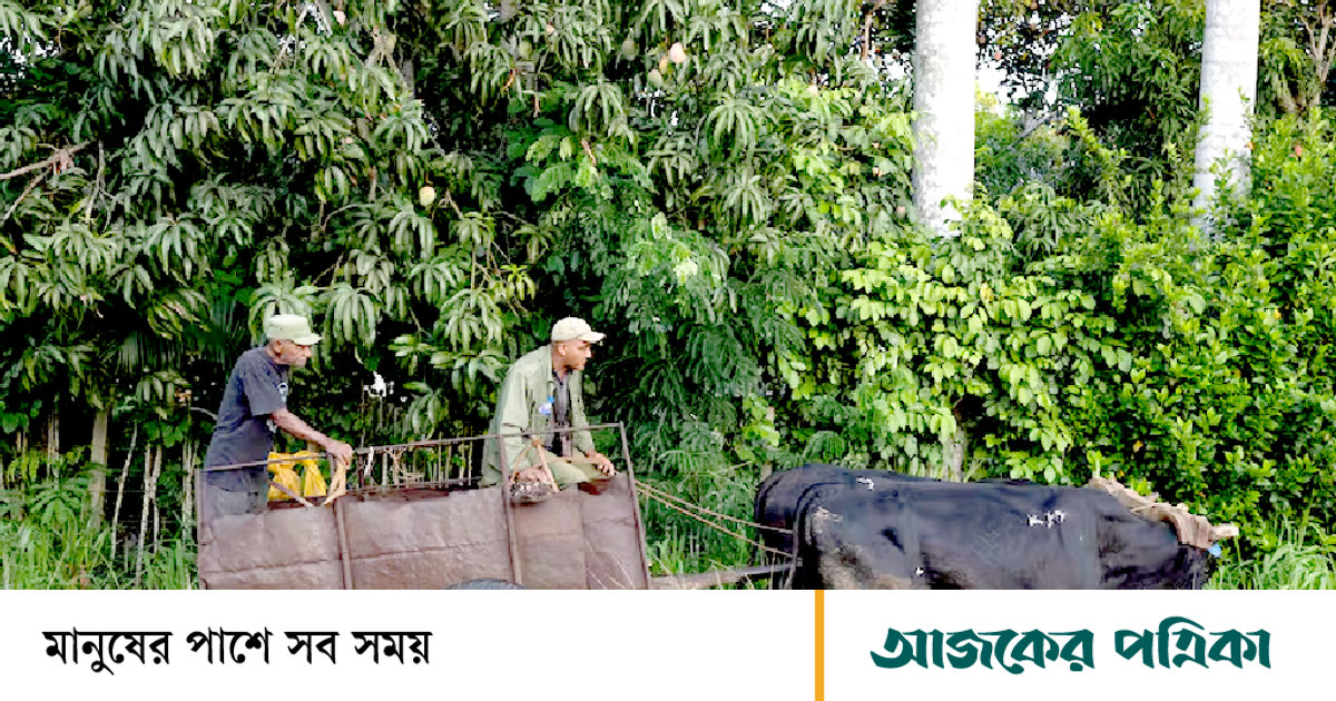 ভূরাজনৈতিক সংঘাতে কেন সবচেয়ে ঝুঁকিতে থাকে ডিজেল
