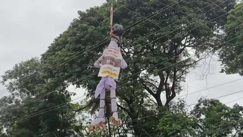 বিকেলে এনসিপির পদযাত্রা, সকালে সড়কে নাহিদ-হাসনাত-সারজিসের কুশপুত্তলিকা