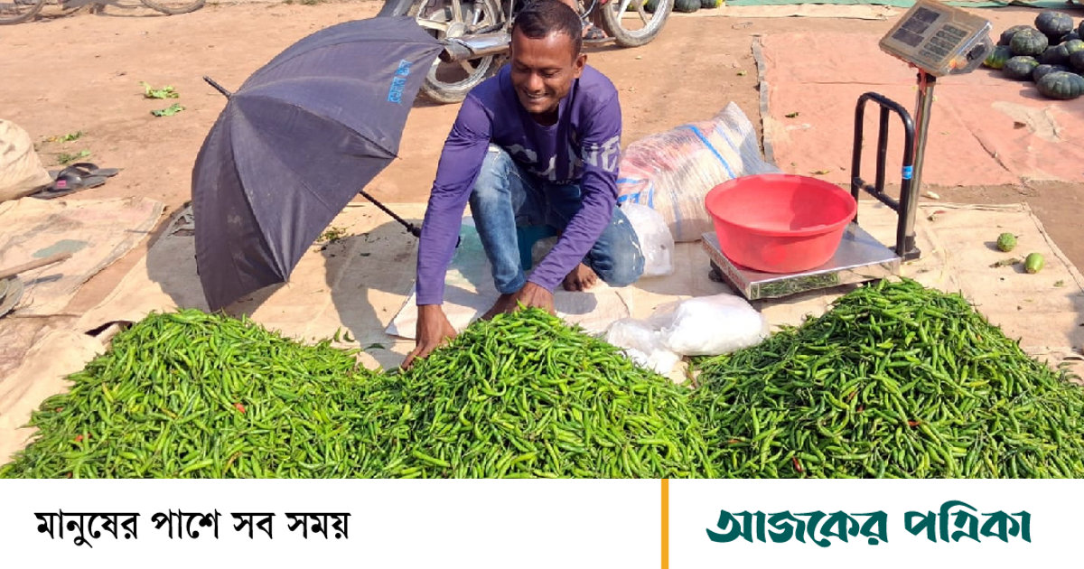 বিরামপুরে বৃষ্টির সঙ্গে পাল্লা দিয়ে বেড়েছে সবজি, কাঁচা মরিচের দাম