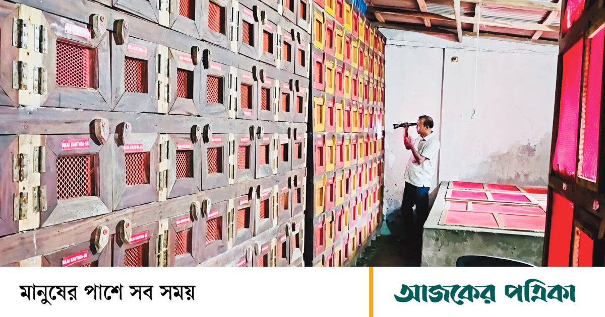 বিশ্ব সাপ দিবস: অ্যান্টিভেনম পেতে সাপের চাষ