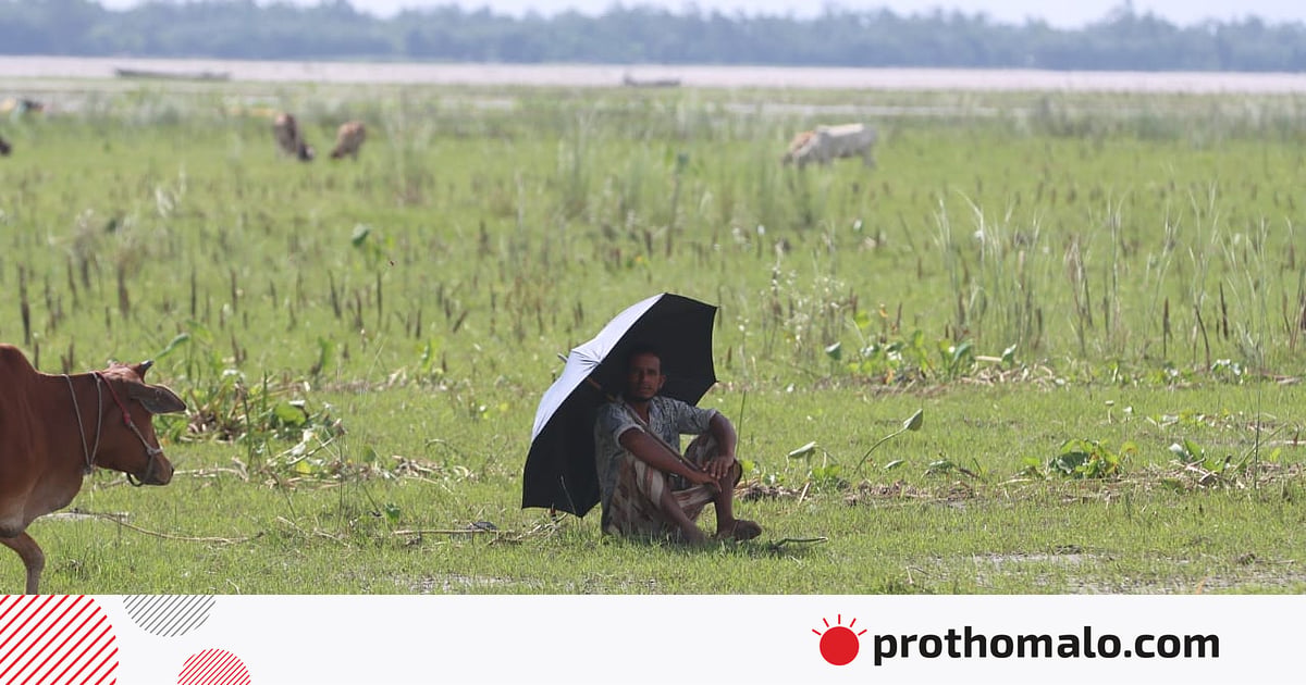 বর্ষায় তিস্তার চর