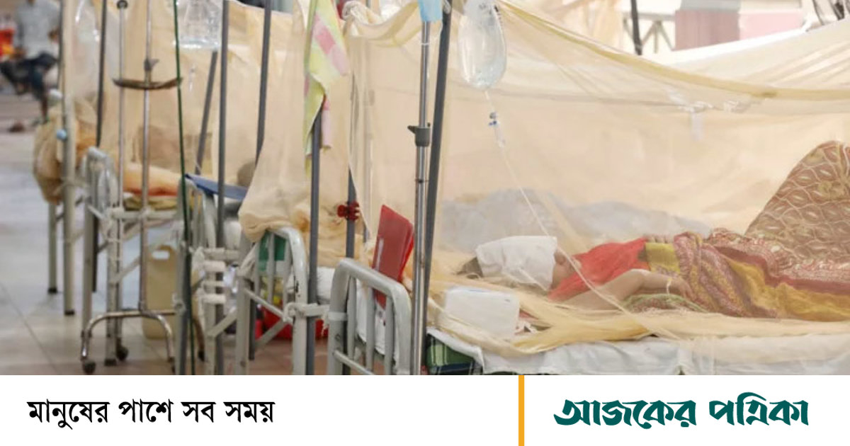 ডেঙ্গুতে আরও একজনের মৃত্যু, হাসপাতালে ভর্তি ২৪২