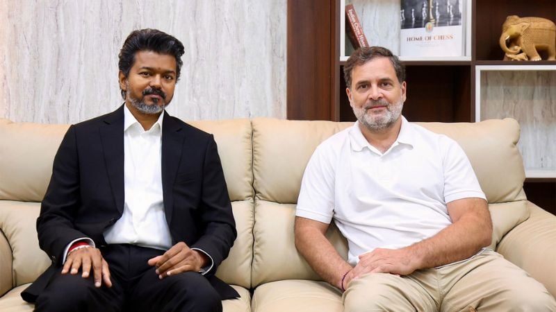এবার রাহুলের পক্ষে সরব বিজয়ের টিভিকে