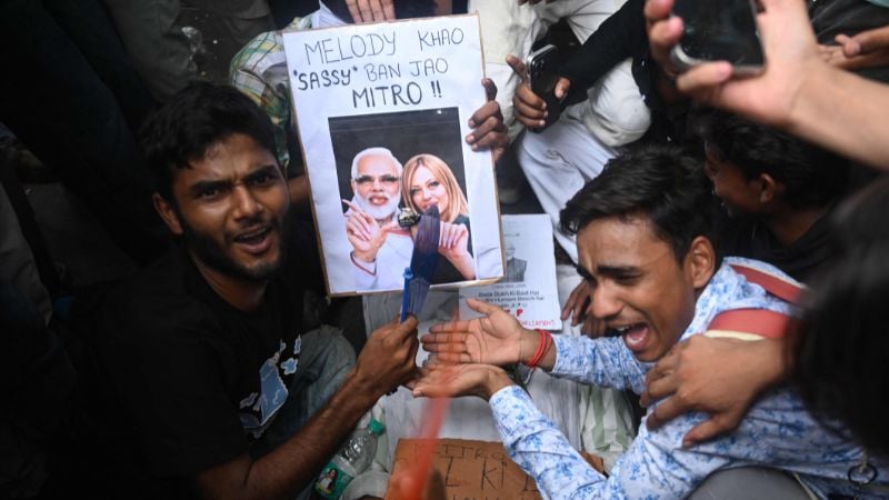 একাধিক রাজ্যে ধরপাকড়, ককরোচেরা উদ্বিগ্ন
