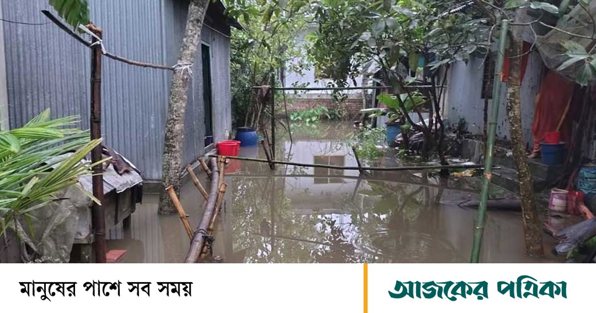 একটু বৃষ্টিতেই জলবন্দী হয়ে পড়ছেন শিবচরের বিভিন্ন এলাকার বাসিন্দারা