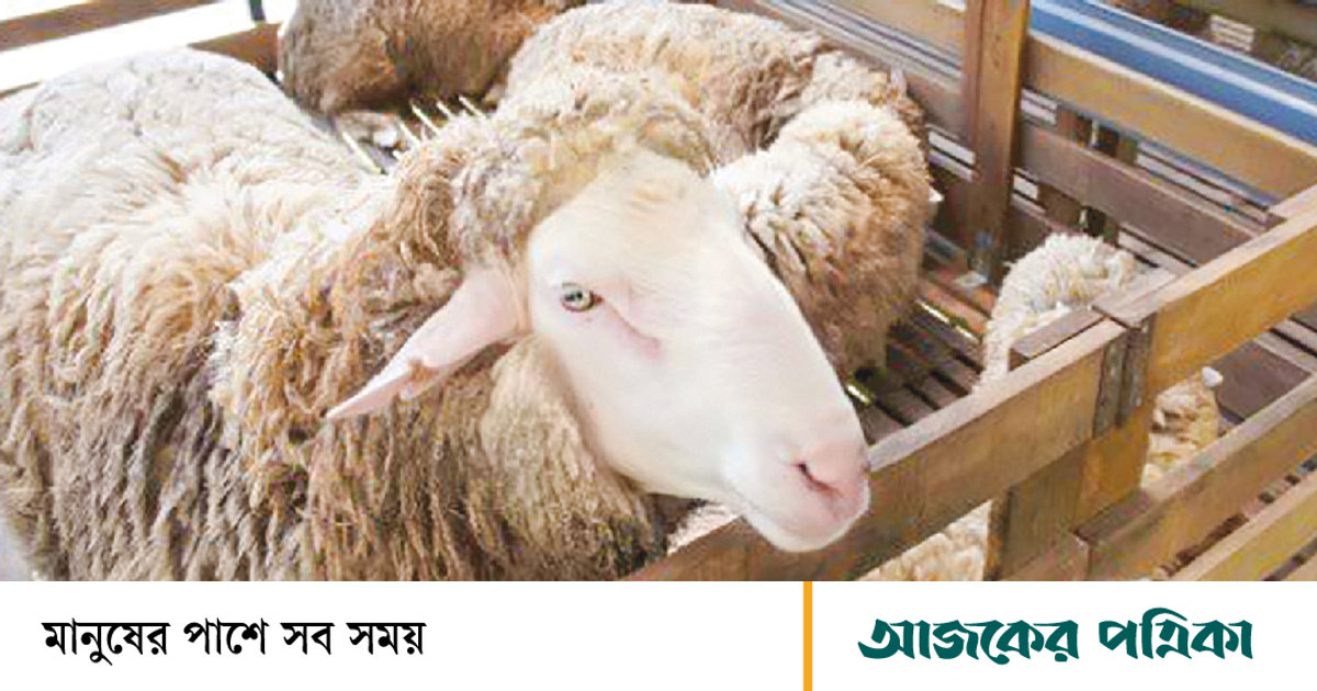 জানের বদলে জান সদকা করার বিষয়ে ইসলাম কী বলে