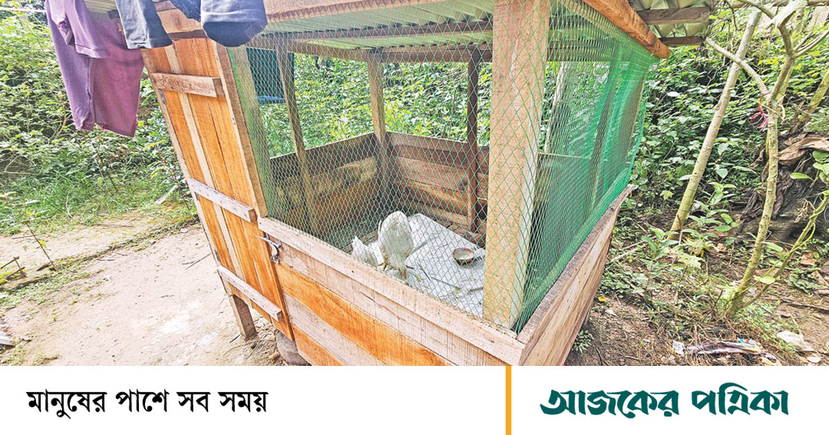 রাঙামাটি-বান্দরবান-খাগড়াছড়ি: প্রাণিসম্পদ উন্নয়ন প্রকল্পে লুটপাট