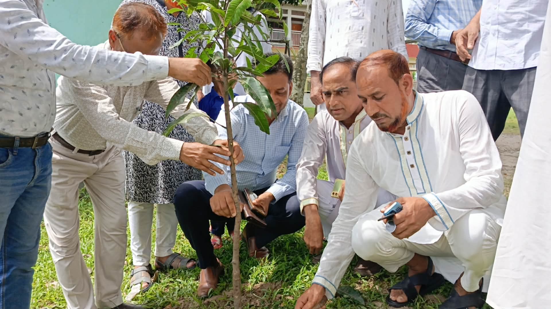সালথায় সরকারি প্রাথমিক বিদ্যালয়ে বৃক্ষরোপণ কর্মসূচির উদ্বোধন