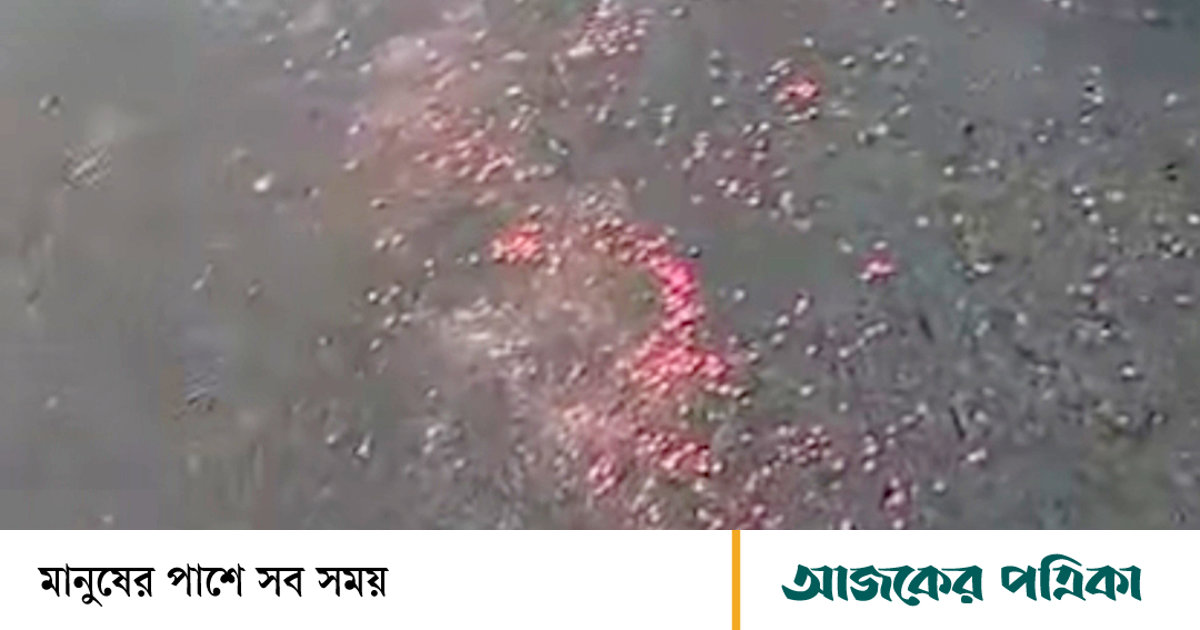 সীতাকুণ্ড মহাসড়কে ছড়িয়ে-ছিটিয়ে থাকা ইয়াবা বড়ি উদ্ধার করল পুলিশ